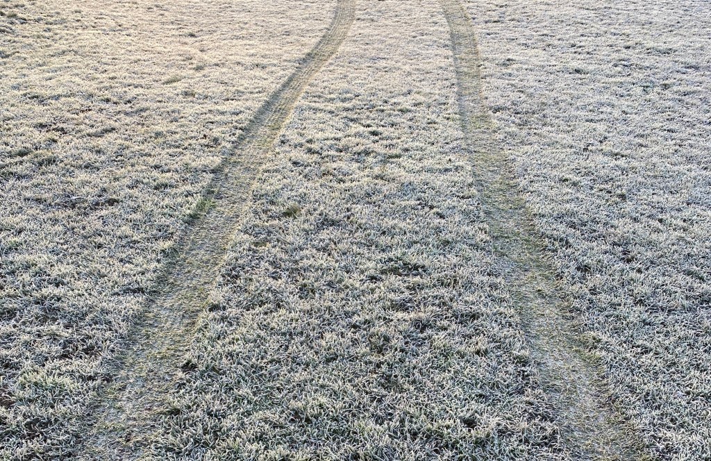 Photo of tyre tracks on frosty grass.